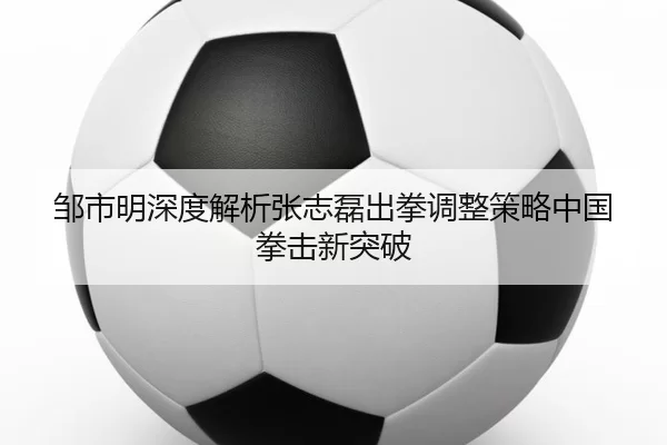 邹市明深度解析张志磊出拳调整策略中国拳击新突破