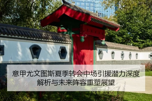 意甲尤文图斯夏季转会中场引援潜力深度解析与未来阵容重塑展望