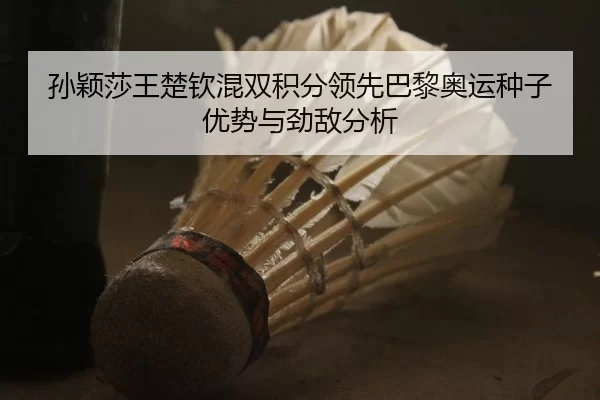sun-ying-sha-wang-chu-qin-hun-shuang-ji-fen-ling-xian-ba-li-ao-yun-zhong-zi-you-shi-yu-jing-di-fen-xi-3-278.jpg
