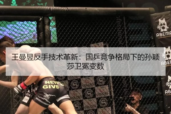 wang-man-yu-fan-shou-ji-shu-ge-xin-guo-ping-jing-zheng-ge-ju-xia-de-sun-ying-sha-wei-mian-bian-shu-1-362.jpg